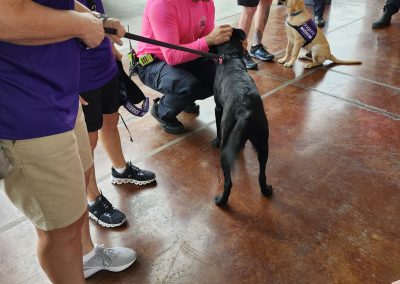 thanks to Dogs Inc. for bringing by their dogs and puppies in training